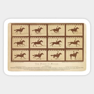 Eadweard Muybridge's The Horse in Motion Sticker